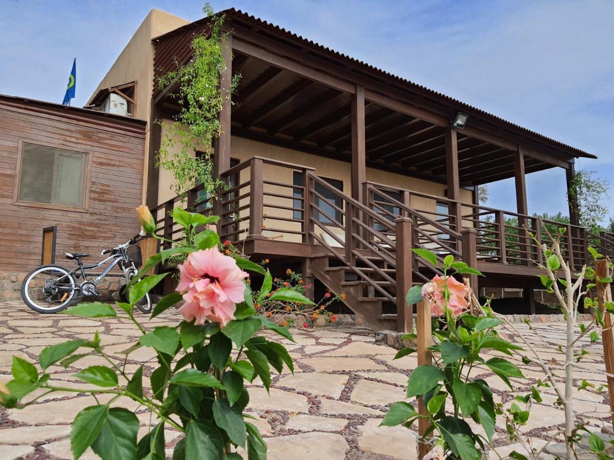 The Wind Farm Villa Dahab Exteriör bild
